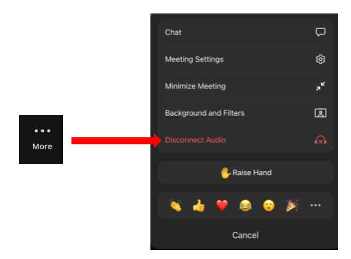 RCA Alumni Zoom Meeting Step By Step Instructions